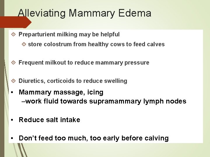 Alleviating Mammary Edema Preparturient milking may be helpful store colostrum from healthy cows to