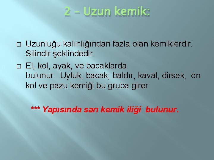 2 – Uzun kemik: � � Uzunluğu kalınlığından fazla olan kemiklerdir. Silindir şeklindedir. El,