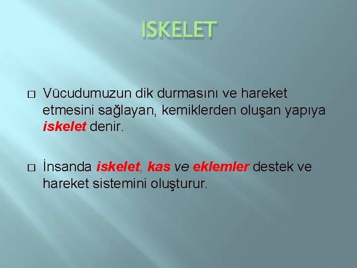 İSKELET � Vücudumuzun dik durmasını ve hareket etmesini sağlayan, kemiklerden oluşan yapıya iskelet denir.