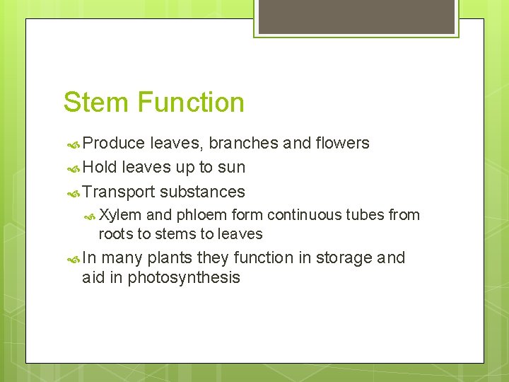 Stem Function Produce leaves, branches and flowers Hold leaves up to sun Transport substances