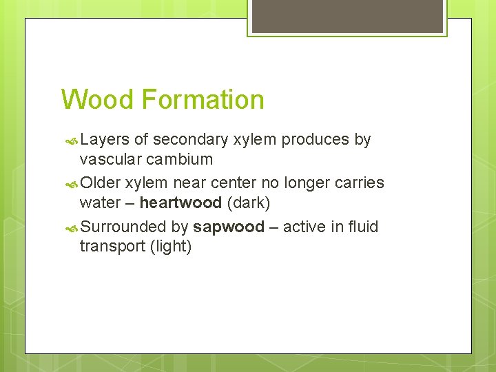 Wood Formation Layers of secondary xylem produces by vascular cambium Older xylem near center