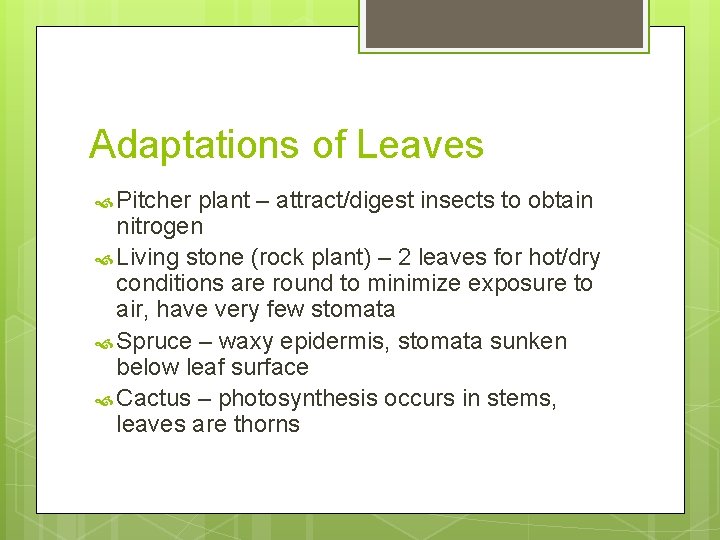 Adaptations of Leaves Pitcher plant – attract/digest insects to obtain nitrogen Living stone (rock
