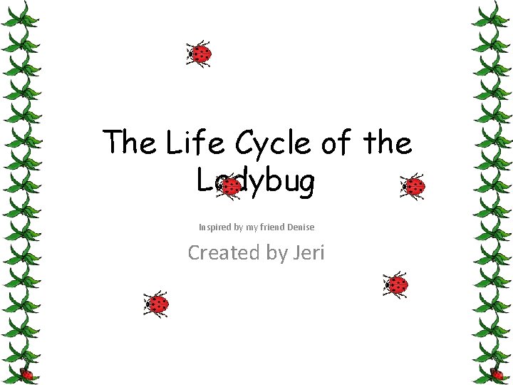The Life Cycle of the Ladybug Inspired by my friend Denise Created by Jeri