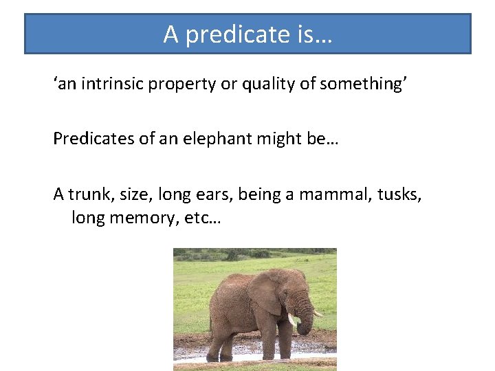 A predicate is… ‘an intrinsic property or quality of something’ Predicates of an elephant