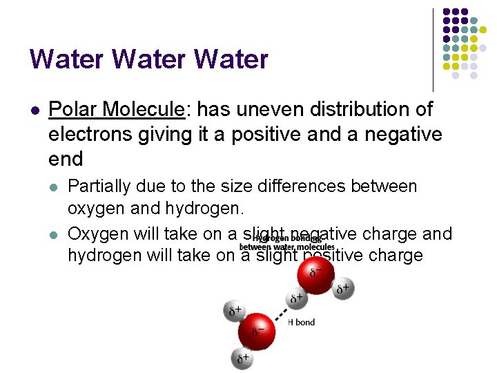 Water l Polar Molecule: has uneven distribution of electrons giving it a positive and