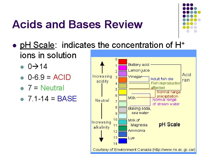 Acids and Bases Review l p. H Scale: indicates the concentration of H+ ions