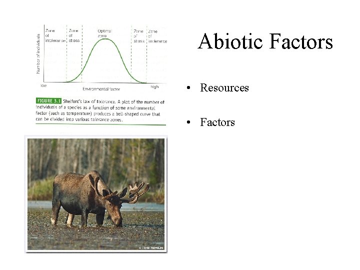 Abiotic Factors • Resources • Factors 