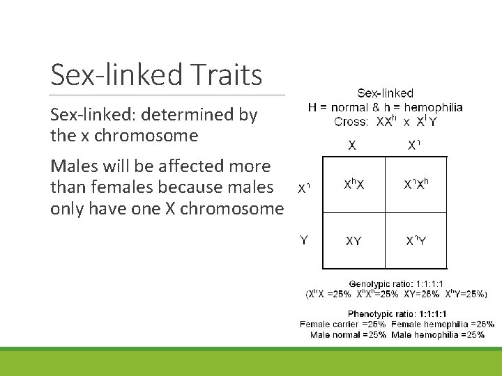 Sex-linked Traits Sex-linked: determined by the x chromosome Males will be affected more than