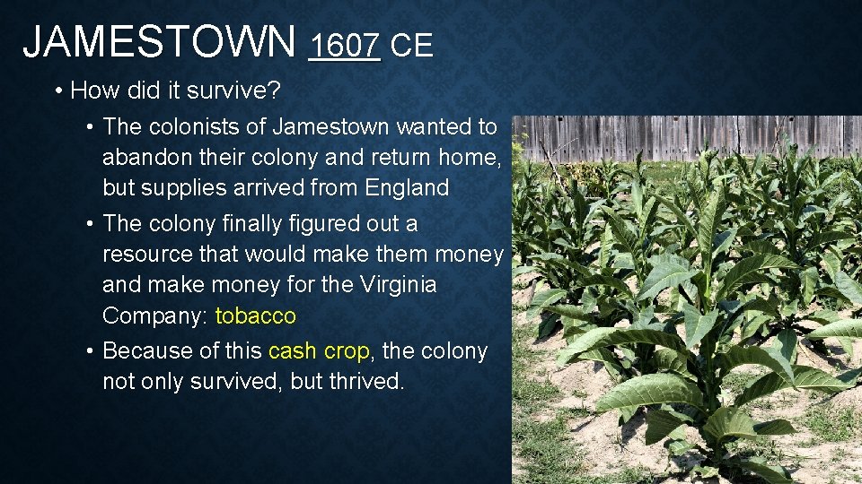 JAMESTOWN 1607 CE • How did it survive? • The colonists of Jamestown wanted