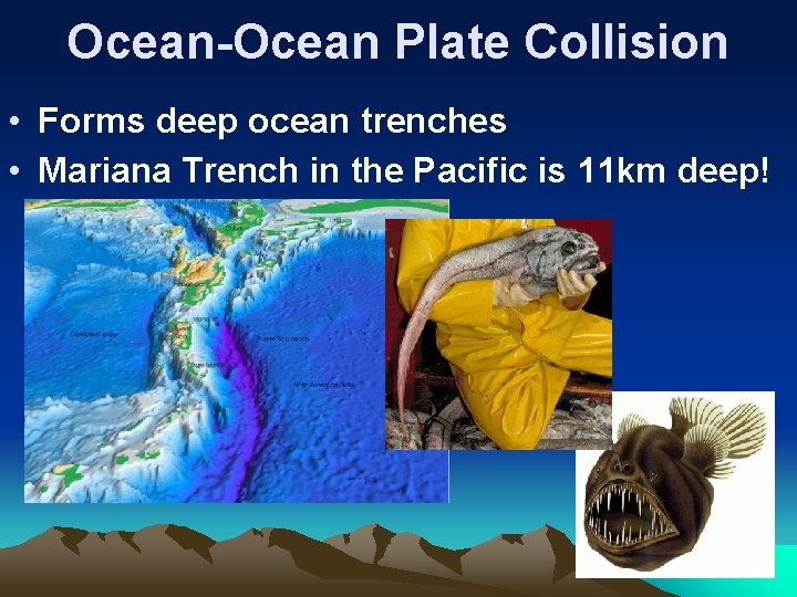 Ocean-Ocean Plate Collision • Forms deep ocean trenches • Mariana Trench in the Pacific