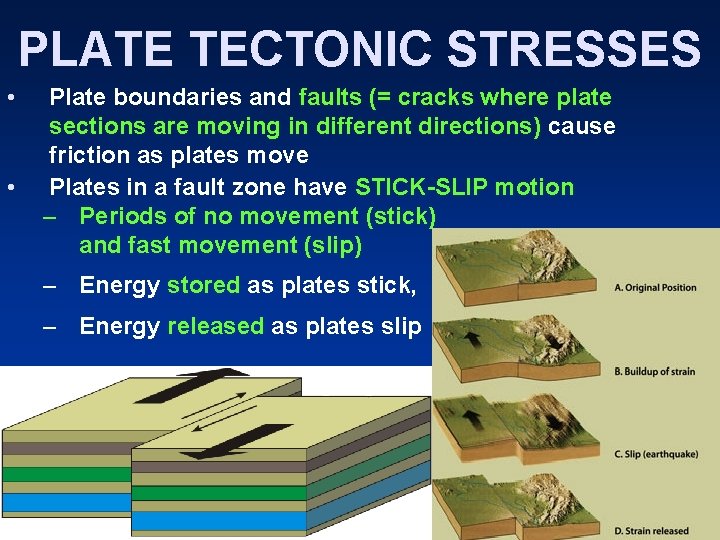 PLATE TECTONIC STRESSES • • Plate boundaries and faults (= cracks where plate sections