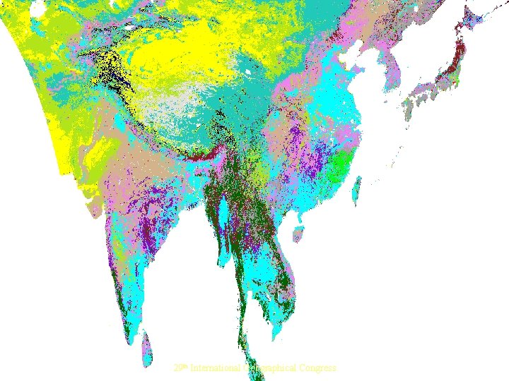 Asia Land Cover in Equal Area Cylindrical Projection (8 km Pixels) 29 th International
