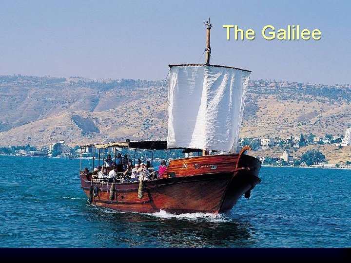 The Galilee 