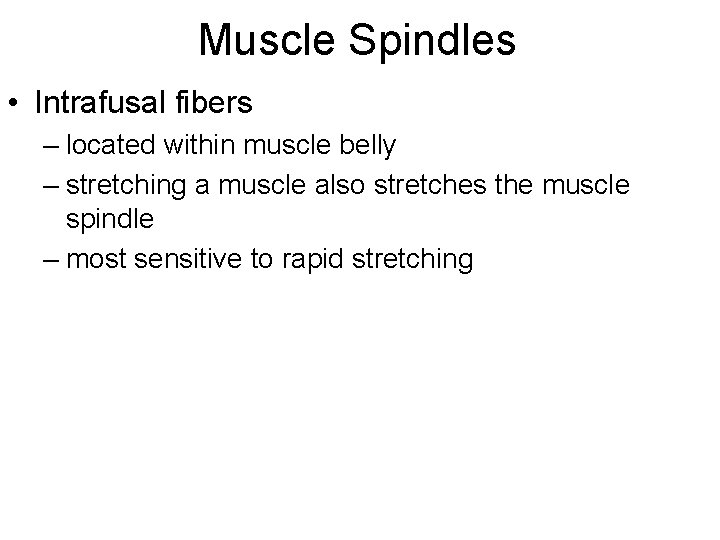 Muscle Spindles • Intrafusal fibers – located within muscle belly – stretching a muscle