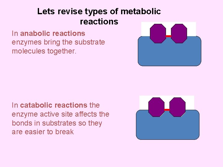 Lets revise types of metabolic reactions In anabolic reactions enzymes bring the substrate molecules