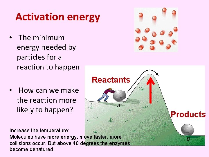 Activation energy • The minimum energy needed by particles for a reaction to happen