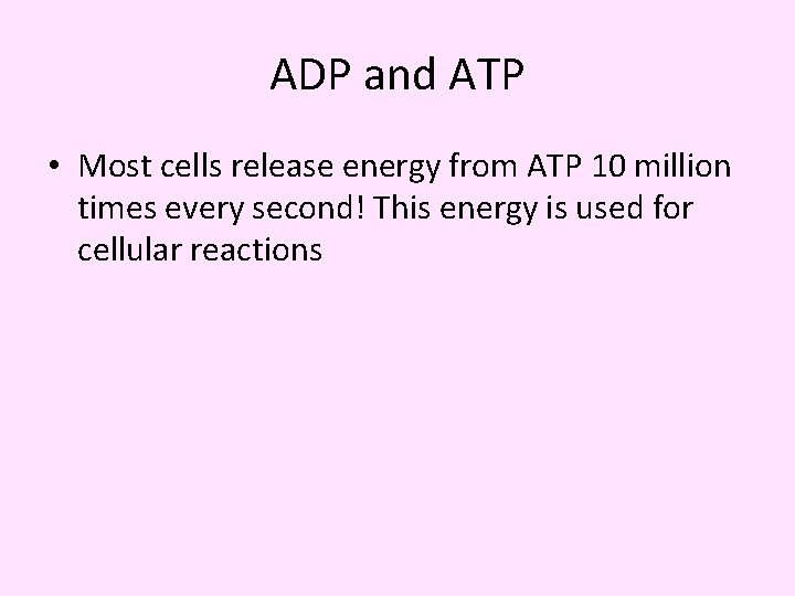 ADP and ATP • Most cells release energy from ATP 10 million times every