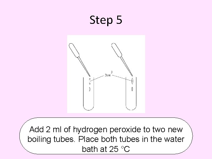 Step 5 Add 2 ml of hydrogen peroxide to two new boiling tubes. Place