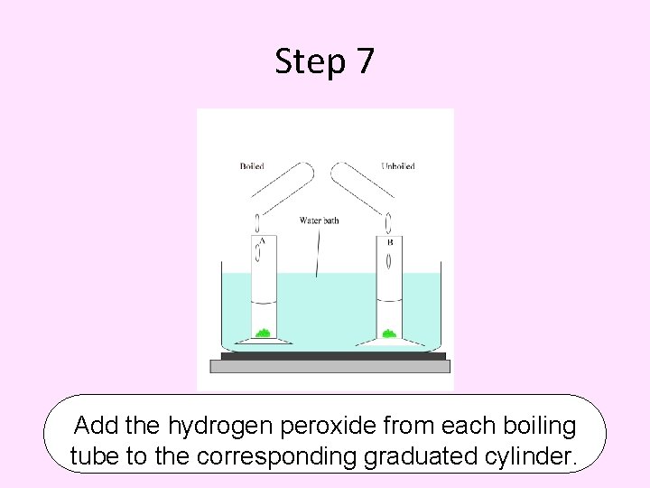 Step 7 Add the hydrogen peroxide from each boiling tube to the corresponding graduated