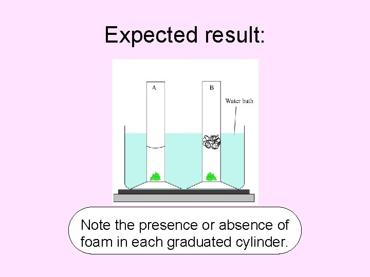 Expected result: Note the presence or absence of foam in each graduated cylinder. 