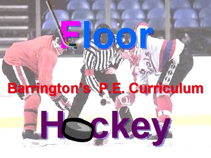 Floor Barrington’s P. E. Curriculum Hockey 