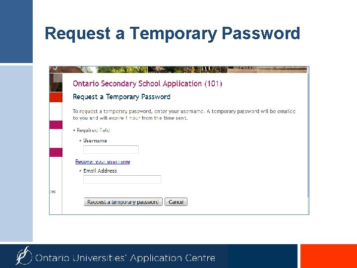 Request a Temporary Password 