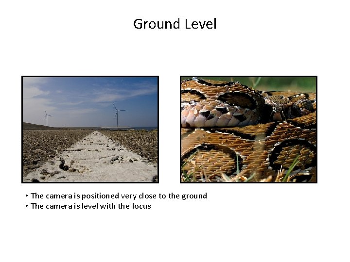 Ground Level • The camera is positioned very close to the ground • The
