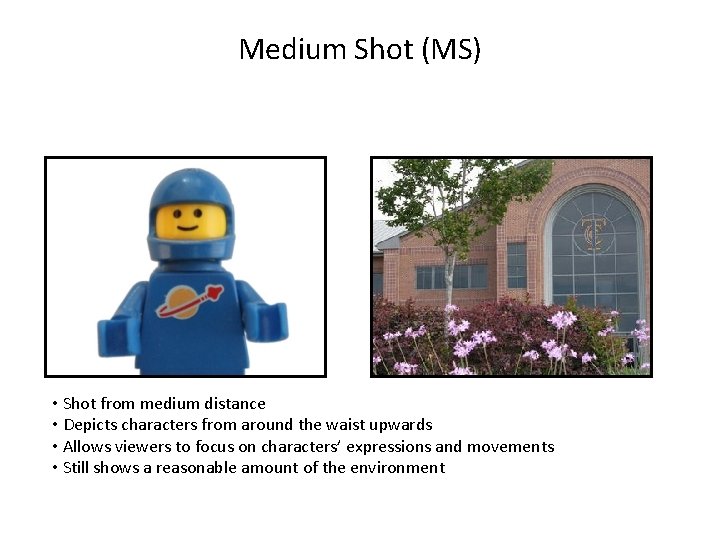 Medium Shot (MS) • Shot from medium distance • Depicts characters from around the