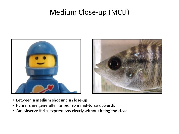 Medium Close-up (MCU) • Between a medium shot and a close-up • Humans are