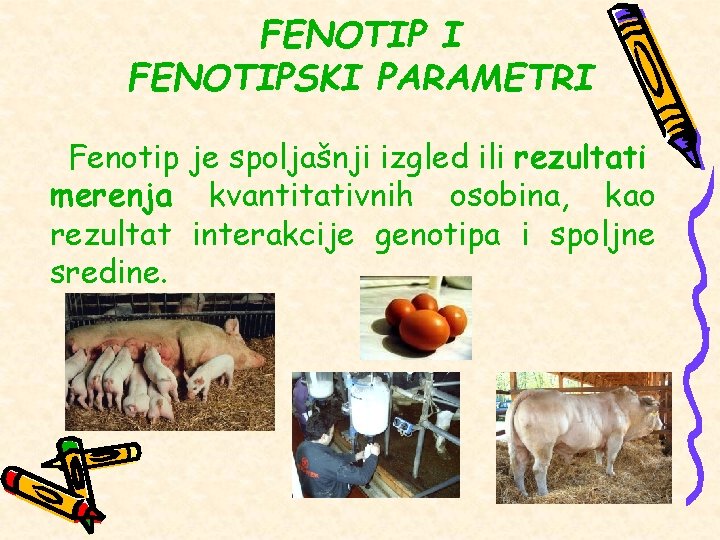 FENOTIP I FENOTIPSKI PARAMETRI Fenotip je spoljašnji izgled ili rezultati merenja kvantitativnih osobina, kao