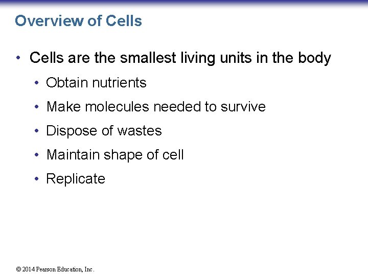 Overview of Cells • Cells are the smallest living units in the body •
