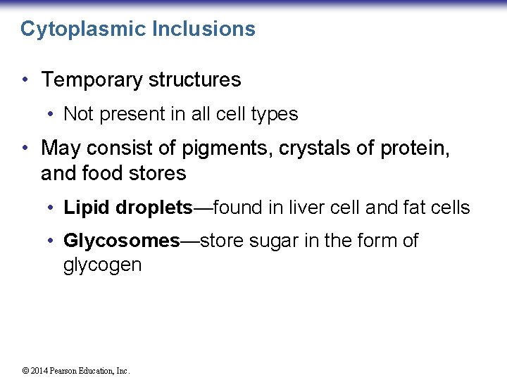Cytoplasmic Inclusions • Temporary structures • Not present in all cell types • May