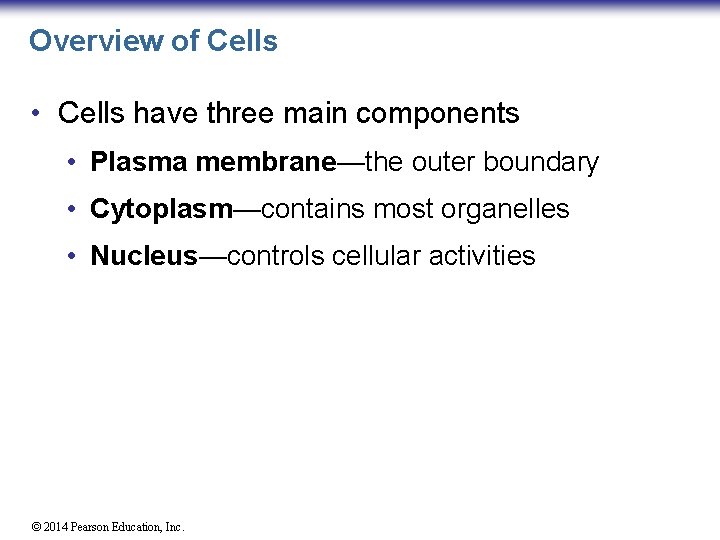 Overview of Cells • Cells have three main components • Plasma membrane—the outer boundary