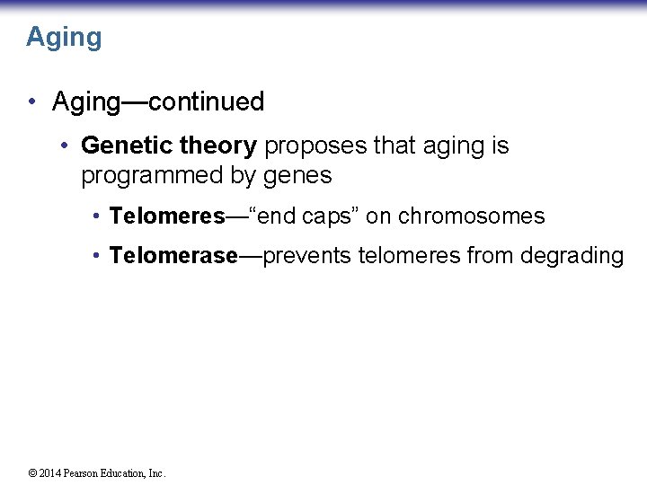 Aging • Aging—continued • Genetic theory proposes that aging is programmed by genes •