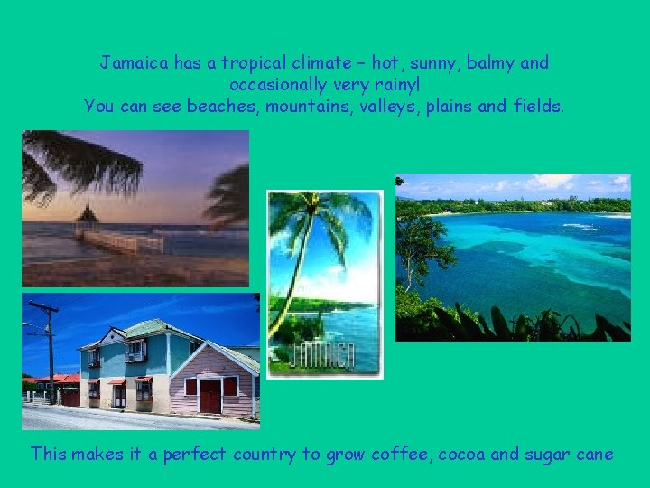 Jamaica has a tropical climate – hot, sunny, balmy and occasionally very rainy! You