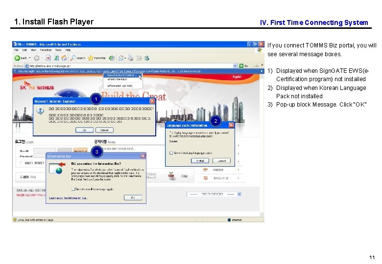 1. Install Flash Player IV. First Time Connecting System If you connect TOMMS Biz
