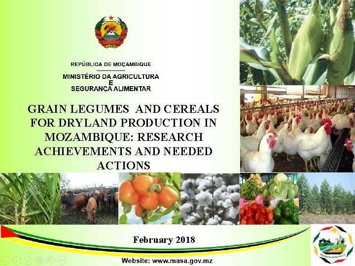 GRAIN LEGUMES AND CEREALS FOR DRYLAND PRODUCTION IN MOZAMBIQUE: RESEARCH ACHIEVEMENTS AND NEEDED ACTIONS