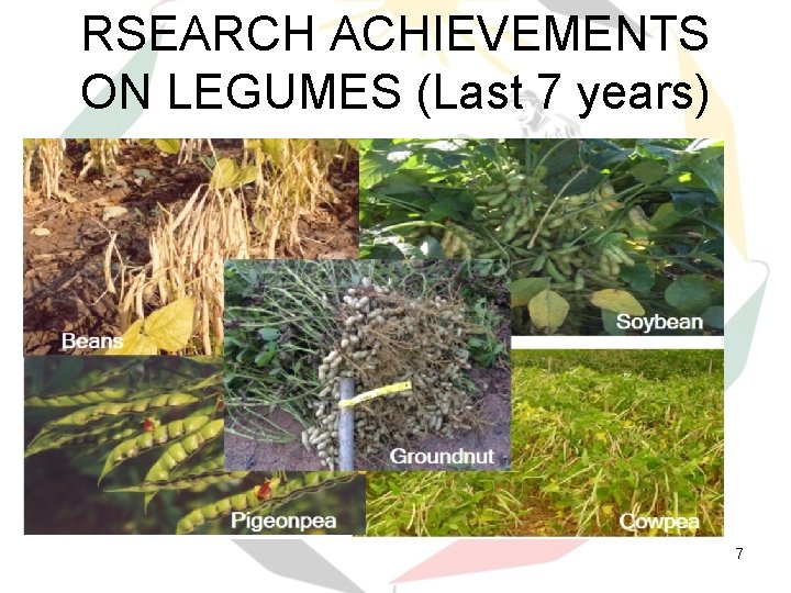 RSEARCH ACHIEVEMENTS ON LEGUMES (Last 7 years) 7 