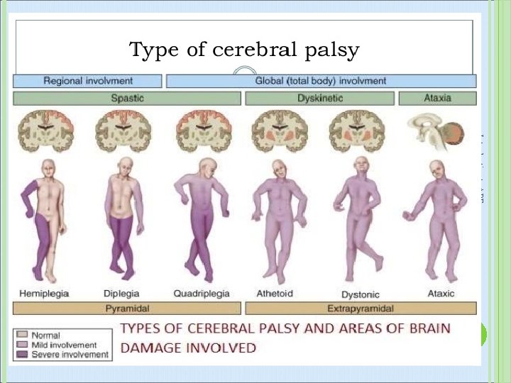 Introduction to APE 51 