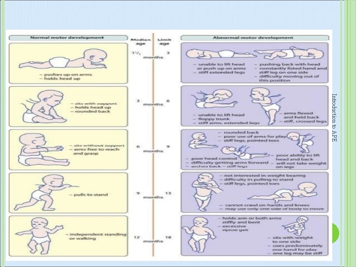 Introduction to APE 54 