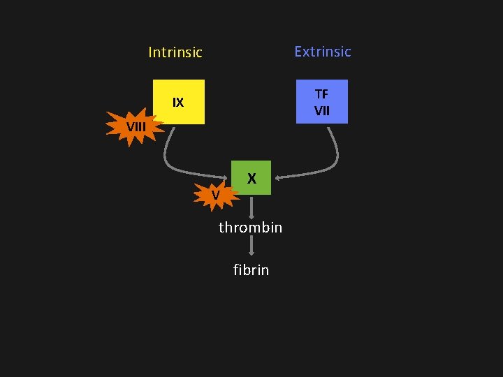Intrinsic Extrinsic IX TF VIII V X thrombin fibrin Intrinsic Extrinsic IX TF VIII V X thrombin fibrin