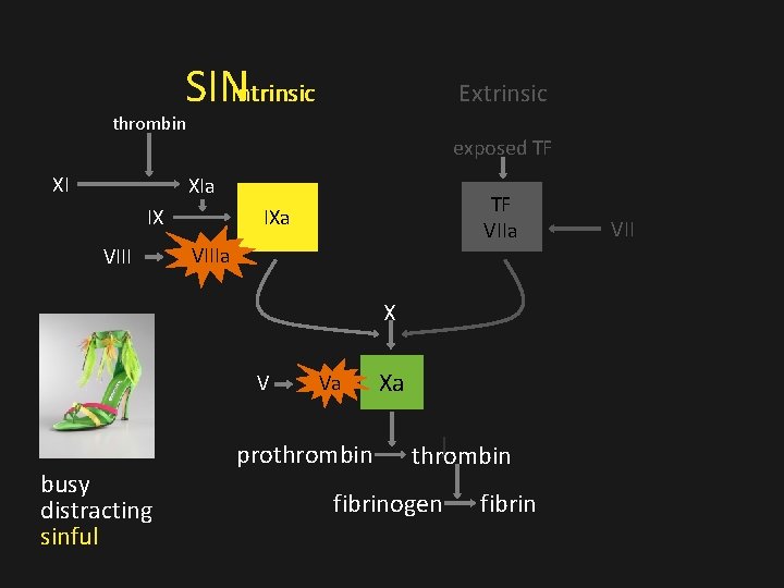 SINIntrinsic Extrinsic thrombin XI exposed TF XIa IX VIII TF VIIa IXa VIIIa X SINIntrinsic Extrinsic thrombin XI exposed TF XIa IX VIII TF VIIa IXa VIIIa X