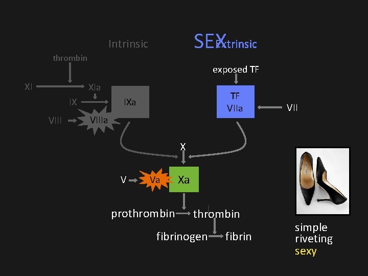 Extrinsic SEX trinsic Intrinsic thrombin XI exposed TF XIa IX VIII TF VIIa IXa Extrinsic SEX trinsic Intrinsic thrombin XI exposed TF XIa IX VIII TF VIIa IXa