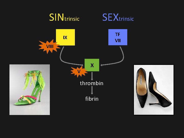 SINtrinsic SEXtrinsic IX TF VIII V X thrombin fibrin SINtrinsic SEXtrinsic IX TF VIII V X thrombin fibrin