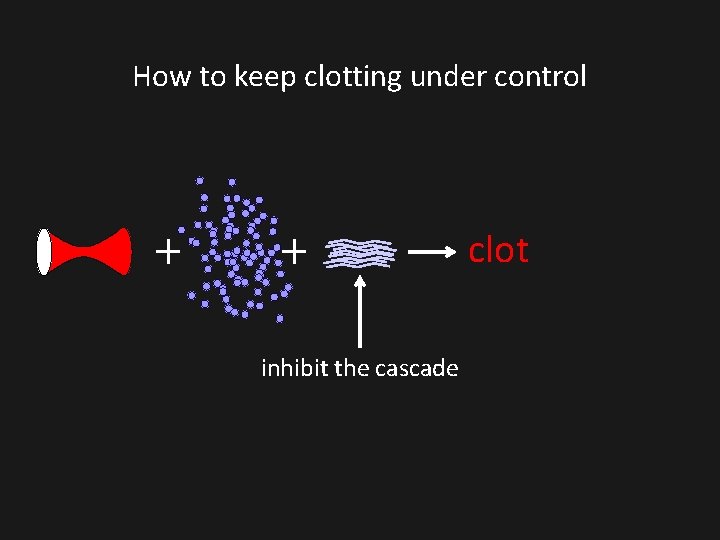 How to keep clotting under control clot inhibit the cascade How to keep clotting under control clot inhibit the cascade