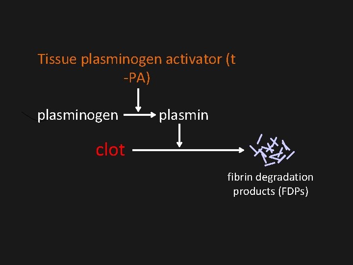 Tissue plasminogen activator (t -PA) plasminogen plasmin clot fibrin degradation products (FDPs) Tissue plasminogen activator (t -PA) plasminogen plasmin clot fibrin degradation products (FDPs)