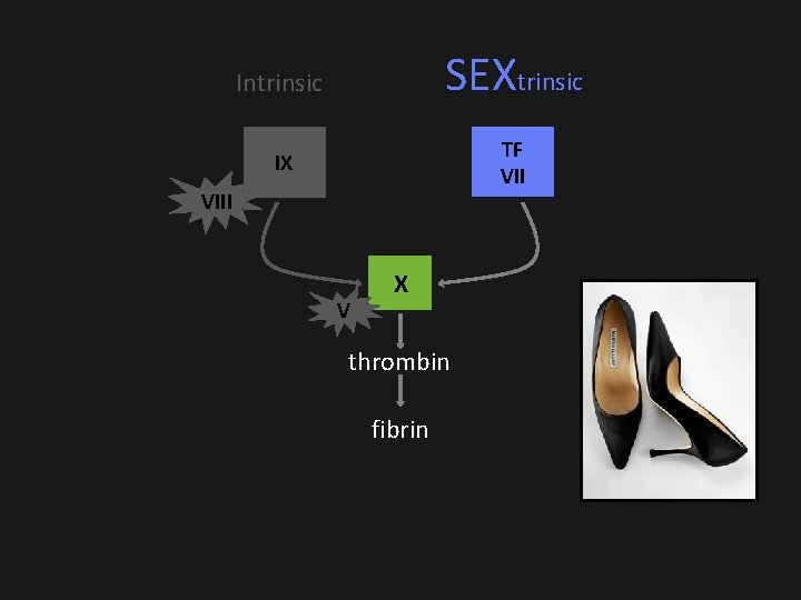 Intrinsic SEXtrinsic IX TF VIII V X thrombin fibrin Intrinsic SEXtrinsic IX TF VIII V X thrombin fibrin