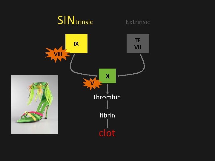 SINtrinsic Extrinsic IX TF VIII V X thrombin fibrin clot SINtrinsic Extrinsic IX TF VIII V X thrombin fibrin clot
