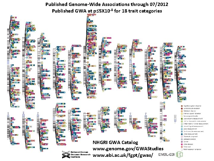 Published Genome-Wide Associations through 07/2012 Published GWA at p≤ 5 X 10 -8 for