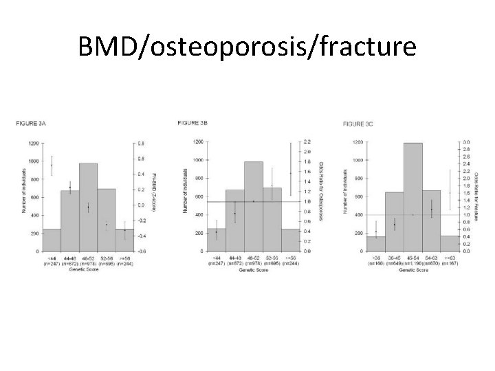 BMD/osteoporosis/fracture 